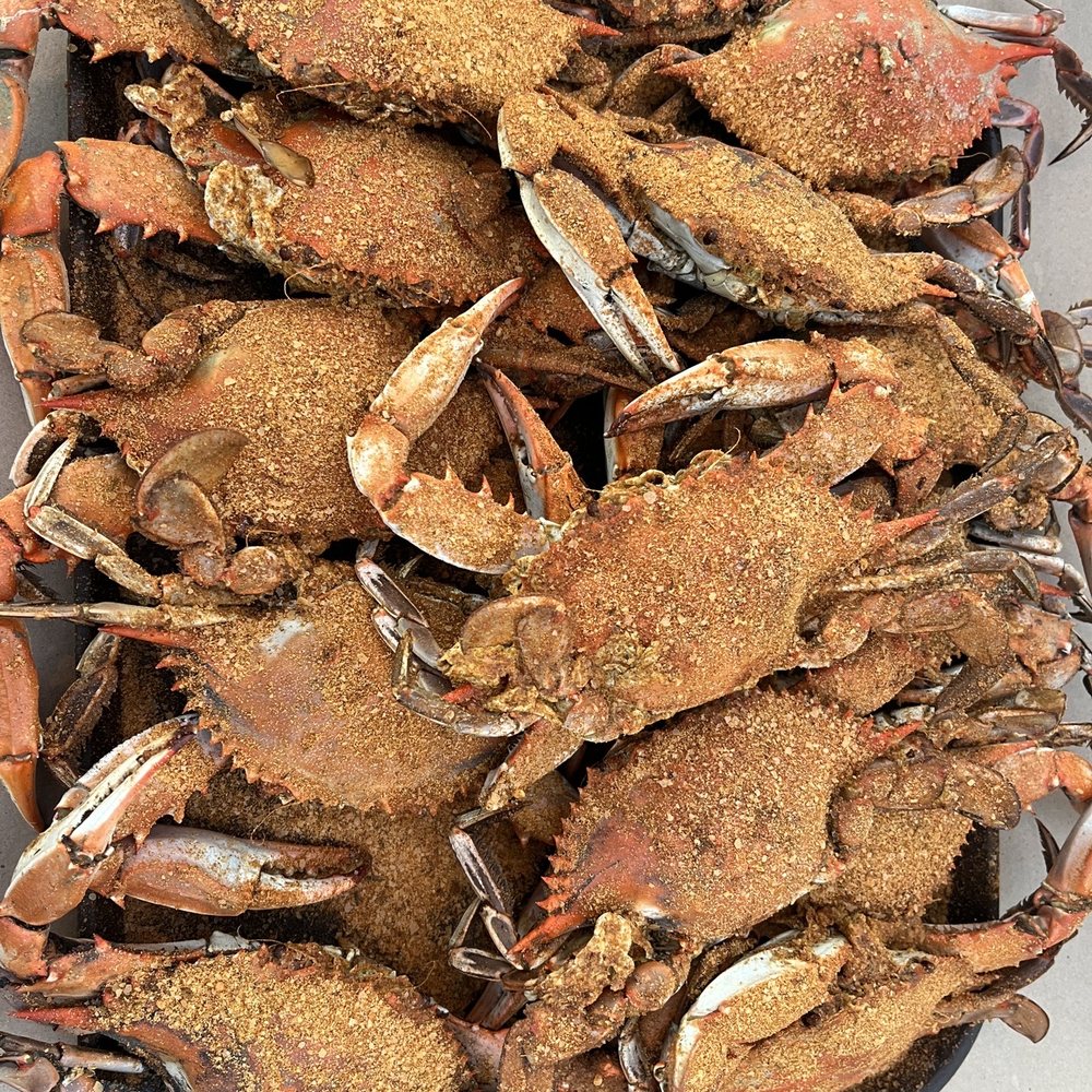 The Surfing Crab - Dozen medium~ - Seafood Near Me - Lewes, Delaware The Surfing Crab - Dozen medium~ - Seafood Near Me - Lewes, Delaware