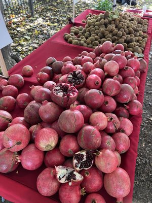 Union City Farmers' Market by null