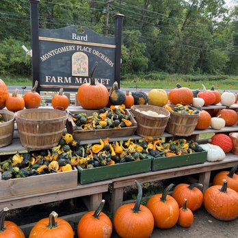 Montgomery Place Orchards - Pumpkins - Fruits & Veggies Near Me - Red Hook, New York Montgomery Place Orchards - Pumpkins - Fruits & Veggies Near Me - Red Hook, New York