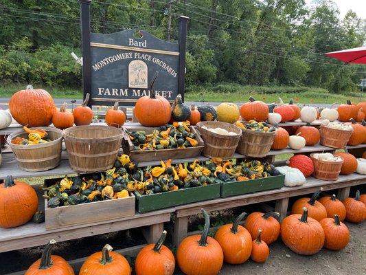 Montgomery Place Orchards by null