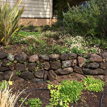 Marin Home Restorations - Rock garden with hand laid retaining wall - General Contractors Near Me - Novato, California Marin Home Restorations - Rock garden with hand laid retaining wall - General Contractors Near Me - Novato, California