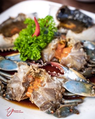 Finch JungSooNae by null