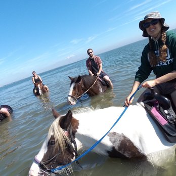 CPonies - Horseback Riding Near Me - Bradenton, Florida CPonies - Horseback Riding Near Me - Bradenton, Florida