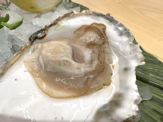 Restaurante Ogrelo by null