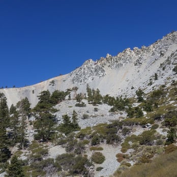 Old Mt. Baldy Trail - Hiking Near Me - Mount Baldy, California