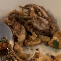 Fried Calamari