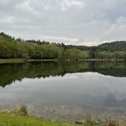 Blowing Rock Trail Rides - Bass Lake