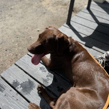 Cafe Sol - Cafes Near Me - Niantic, Connecticut