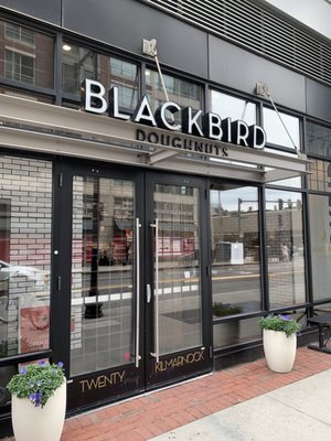 Blackbird Doughnuts Beacon Hill by null
