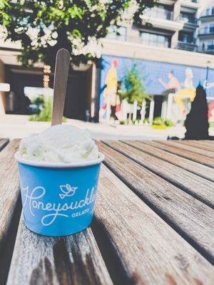 Honeysuckle Gelato Fenton by null