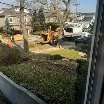 T & M Greencare - Tree Services Near Me - Freeport, New York T & M Greencare - Tree Services Near Me - Freeport, New York