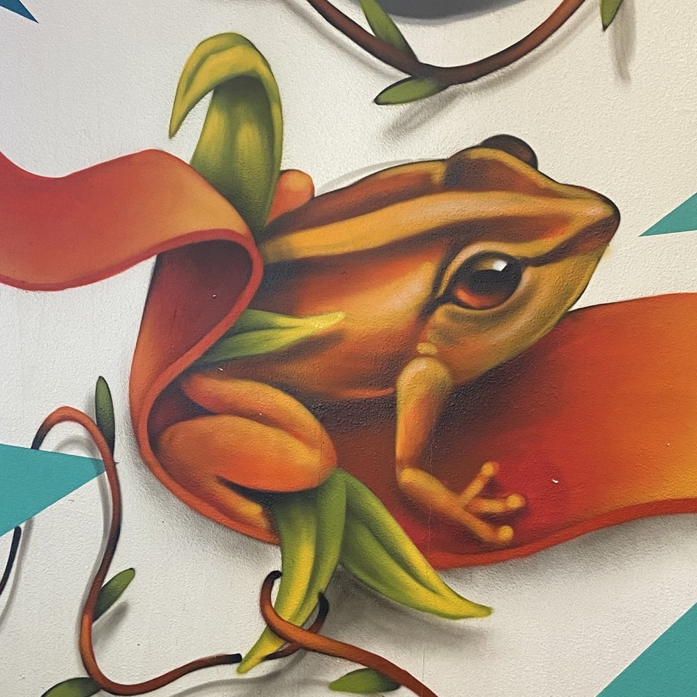 787 Restaurant & Bar - Coqui wall mural - Bars Near Me - El Paso, Texas