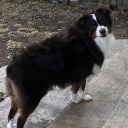 Lucy!
