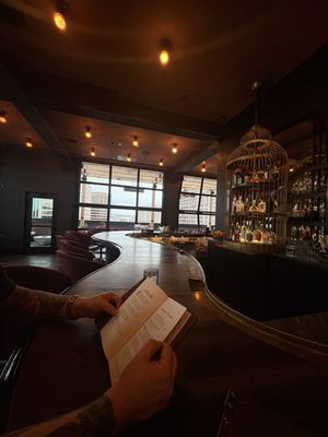 Hotel Renegade by null