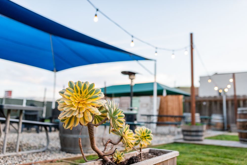 TASTE OF THE PINNACLES 65 Photos & 15 Reviews 148 Main St, Soledad