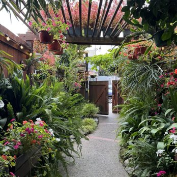 Tea House Spa - Entrance - Massage Near Me - Santa Cruz, California Tea House Spa - Entrance - Massage Near Me - Santa Cruz, California
