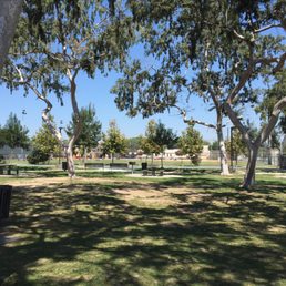 This was the most shaded area but grass is very patchy. This was the most shaded area but grass is very patchy.