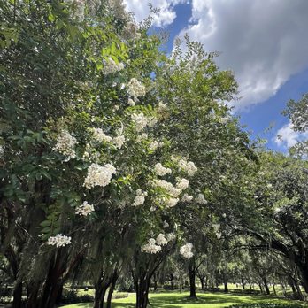 Cypress Grove Park - Parks Near Me - Orlando, Florida Cypress Grove Park - Parks Near Me - Orlando, Florida