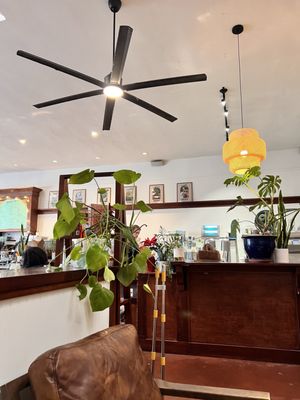 Zocalo Coffeehouse by null