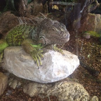 Zookeeper - Pet Stores Near Me - Austin, Texas