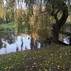 Kurpark
