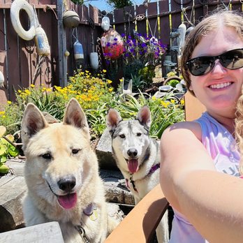 Highway 1 Brewing Company - Dog friendly on the back patio - Breweries Near Me - Pescadero, California Highway 1 Brewing Company - Dog friendly on the back patio - Breweries Near Me - Pescadero, California