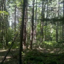 Northfield Mountain - Rose Ledge Trail