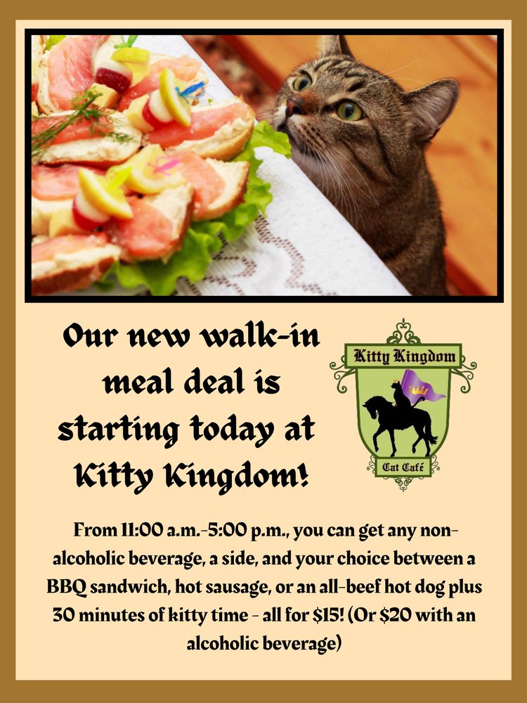 KITTY KINGDOM CAT CAFE Updated August 2024 15 Photos & 17 Reviews 565 Cedar Rd, Chesapeake