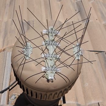 Green Machine Pest Control - Ain't no birds getting on that vent! - Pest Control Near Me - Mesa, Arizona Green Machine Pest Control - Ain't no birds getting on that vent! - Pest Control Near Me - Mesa, Arizona
