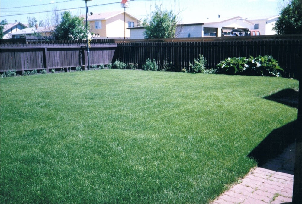 AUTOMATIC SPRINKLER CONTROLS 19 Photos & 70 Reviews Landscaping