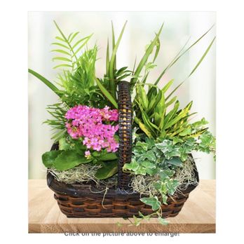 Avas Flowers - Florists Near Me