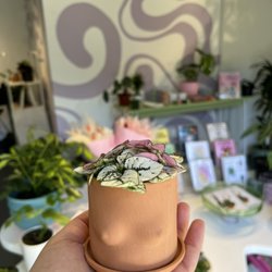 Plant Slut