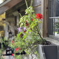 Stone Wall Acres Bed & Breakfast