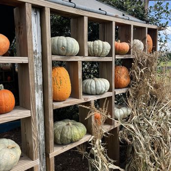 Long & Scott Farms - Farmers Market Near Me - Mount Dora, Florida Long & Scott Farms - Farmers Market Near Me - Mount Dora, Florida