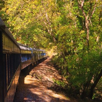 Potomac Eagle Scenic Railroad - The train through the trees - Historical Tours Near Me - Romney, West Virginia Potomac Eagle Scenic Railroad - The train through the trees - Historical Tours Near Me - Romney, West Virginia