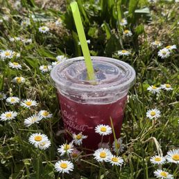 Huckleberry fusion Huckleberry fusion