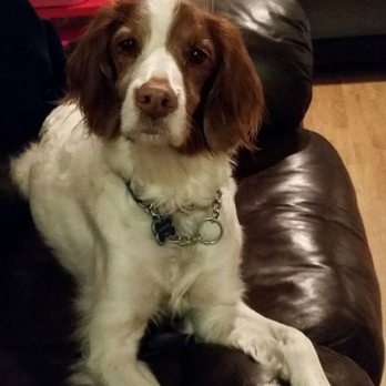 Cuddle Care - Pet Sitting Near Me - Cedar Park, Texas