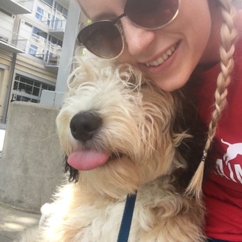 Off Leash Dog Training - #ourdogsandyoursarefamily - Pet Training Near Me - Charlotte, North Carolina