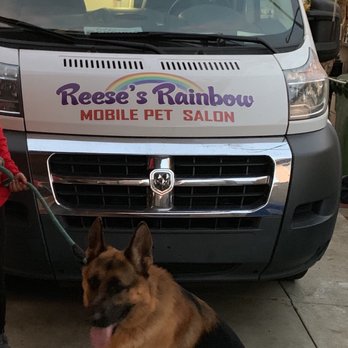 Reese's Rainbow Mobile Pet Salon - Pet Groomers Near Me Reese's Rainbow Mobile Pet Salon - Pet Groomers Near Me