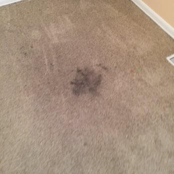 Rick's Family Carpet Care - Before - Carpet Cleaning Near Me - Tacoma, Washington Rick's Family Carpet Care - Before - Carpet Cleaning Near Me - Tacoma, Washington