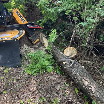 Stump Busters - Tree Services Near Me - Knoxville, Tennessee Stump Busters - Tree Services Near Me - Knoxville, Tennessee
