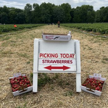Battleview Orchards - Pick Your Own Farms Near Me - Freehold, New Jersey