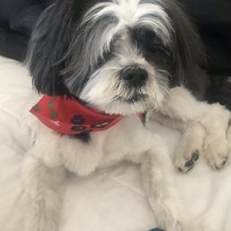 So fresh & so clean !!! So fresh & so clean !!!
