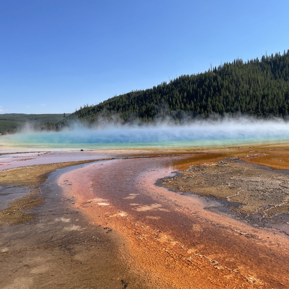Yellowstone Day Tours - Grand Prisma - Tours Near Me Yellowstone Day Tours - Grand Prisma - Tours Near Me