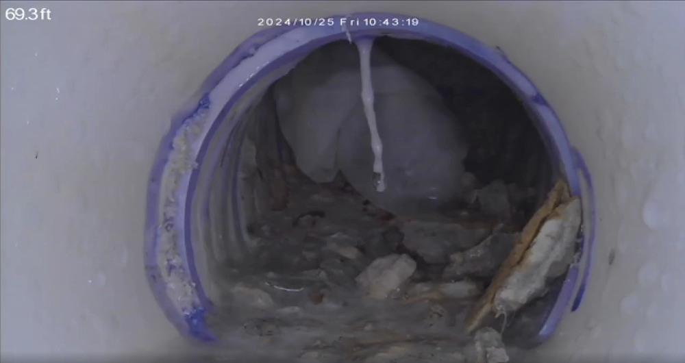 Goat Home Inspections - mold inspector in Ocala, FL