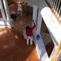 Photo of JLB Painting & Carpentry