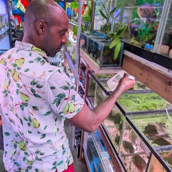 DT Aquarium - Local Fish Stores Near Me - Toronto, Ontario DT Aquarium - Local Fish Stores Near Me - Toronto, Ontario