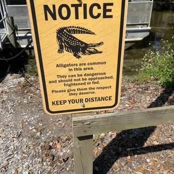 Jean Lafitte Swamp Tour - Boat Tours Near Me - Marrero, Louisiana
