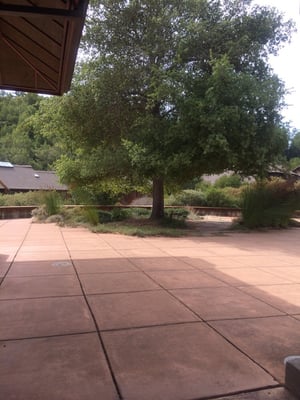 Spirit Rock Meditation Center by null