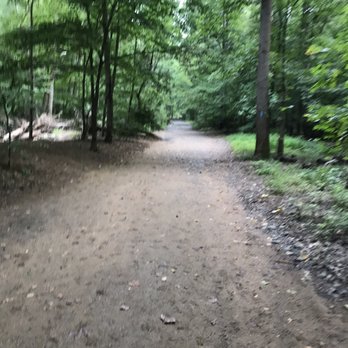 Scott's Run Nature Preserve - Parks Near Me - McLean, Virginia